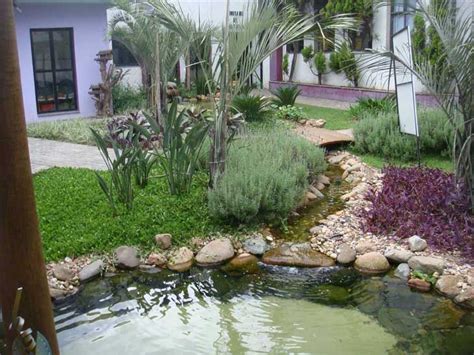 Pequeno O Sis Projetos Incr Veis De Lagos Em Jardins De Casas