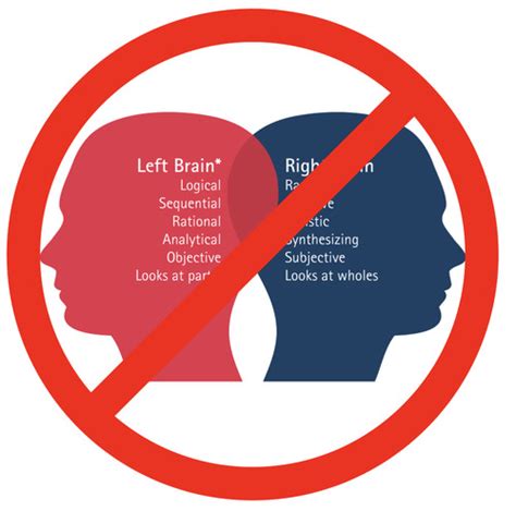 Lateralization Flashcards | Quizlet