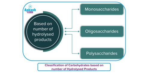 Classification Of Carbohydrates And Their Structure Carbohydrates