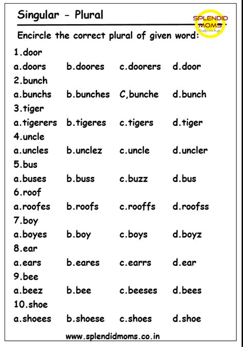 Spelling Rule Singular Plural Nouns Splendid Moms