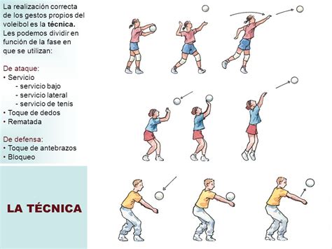 Posiciones De Voleibol