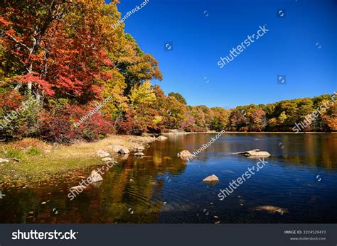 Lakeside Fall Foliage Harriman State Park Stock Photo 2224529473 | Shutterstock