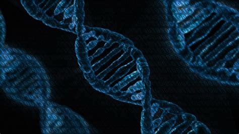 Dna Digital Data Storage Explained