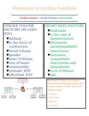 Measures Of Cardiac Function Docx Measures Of Cardiac Function