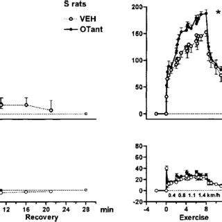 Heart Rate HR Top And Mean Arterial Pressure MAP Bottom Responses