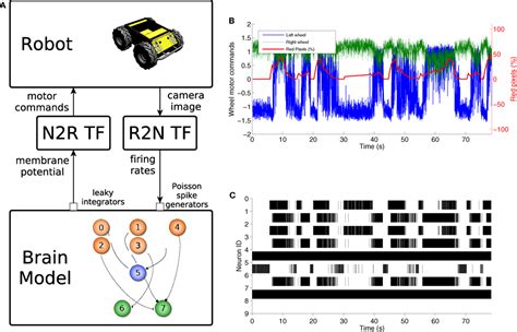 Frontiers Connecting Artificial Brains To Robots In A Comprehensive