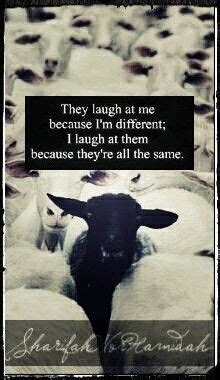 pin  jojo ritter  browsin black sheep quotes sheep quote family