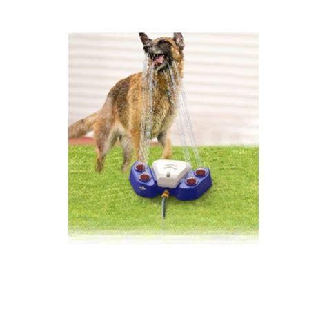 Outdoor Automatic Dog Water Fountain — Comfy Pets Bed