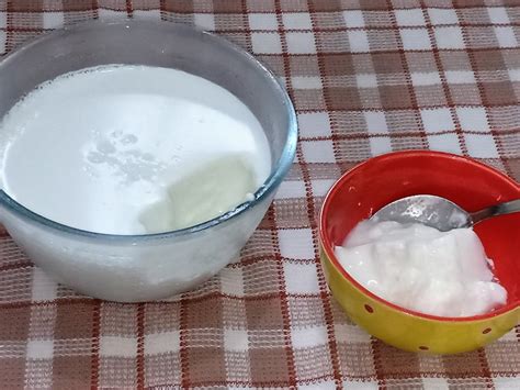 How To Make Thick Dahi Curd Or Yoghurt From Cream Removed Milk