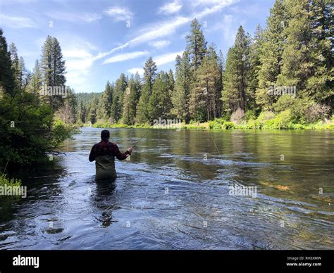 Metolius River Oregon Fly Fishing Trip With Fisherman Casting Stock