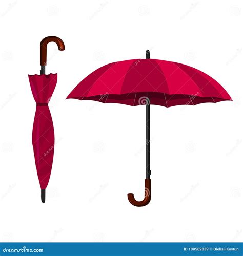 Umbrella Vector Illustration Open And Closed Umbrellas Stock