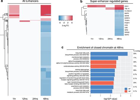 Differential Chromatin Accessibility Within Enhancer Regions