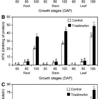 Effect Of Triadimefon On A Sod B Apx And C Cat Unit Mg Of Protein