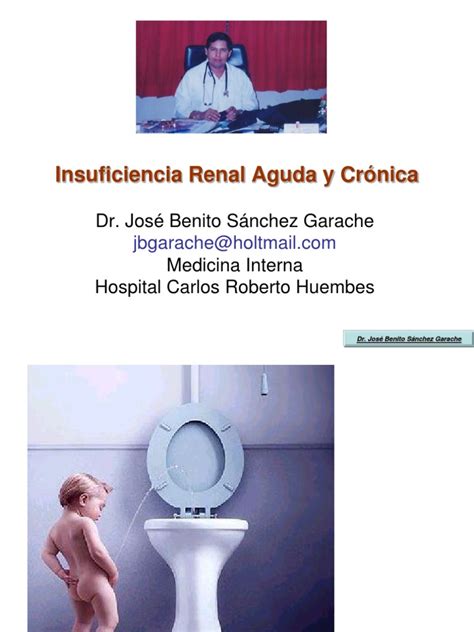 PDF Insuficiencia Renal Aguda Y Cronica Curso Medicos Generales