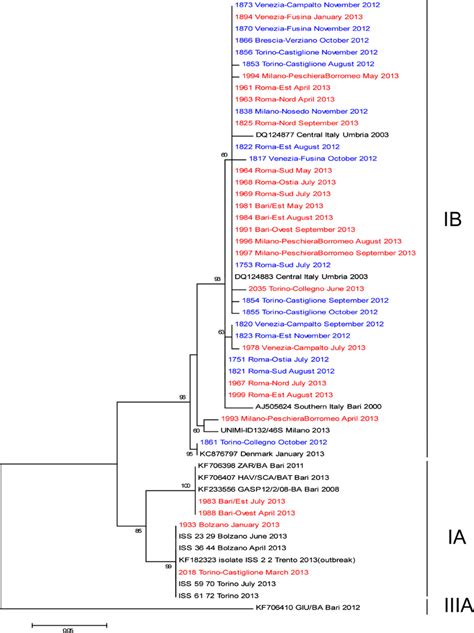 Phylogenetic Tree Displaying The Genetic Relationships Between