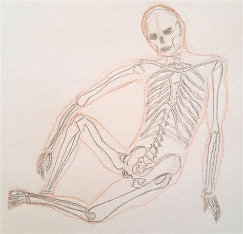 Discover 144+ skeleton images drawing - vietkidsiq.edu.vn