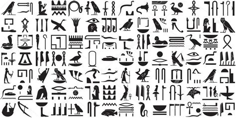 Une Collection De Symboles Egyptiens Antiques Divers Hiéroglyphes égyptiens Hiéroglyphes