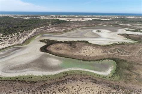 Doñana cerró 2022 con récord de temperatura máxima y escasas