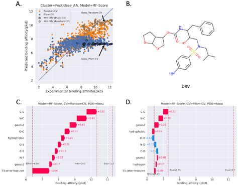 RF Score Important Features In Peptidase AA A RF Score Predicted