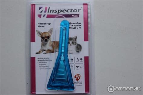 Инспектор для кошек: как применять капли от блох и клещей, отзывы, аналоги