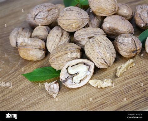 Walnut tree leaves hi-res stock photography and images - Alamy