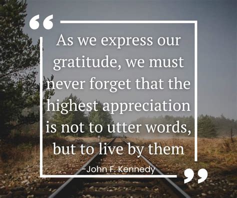 Gratitude Quotes - Shannon Torrens