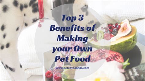 Top 3 Benefits of Making your Own Pet Food - Pet City Canada - Lethbridge, AB