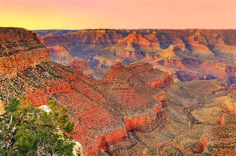 Ciel Coucher De Soleil Montagnes Arbre Canyon Az États Unis Parc