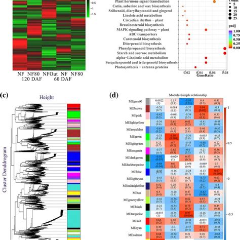 Rnaseq And Weighted Gene Coexpression Network Analysis Wgcna Was