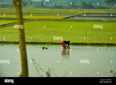 Travelling place in bangladesh hi-res stock photography and images - Alamy