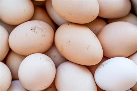 Scientists Find A Way To Tell The Sex Of Chicken Eggs Early In Incubation