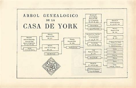 LAMINA ESPASA 1640 Arbol Genealogico De La Casa De York Von Varios