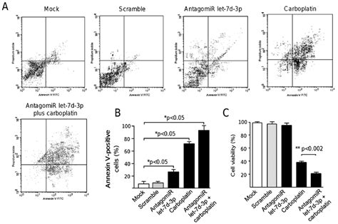 Inhibition Of Let 7d 3p Induces Apoptosis And Enhances Chemosensitivity