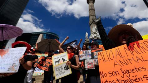 Miles Marchan En Cdmx Para Exigir Un Alto A La Violencia Contra Los