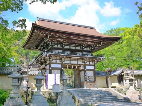 Santuario Matsunoo Taisha Travel Japan Ente Nazionale Del Turismo