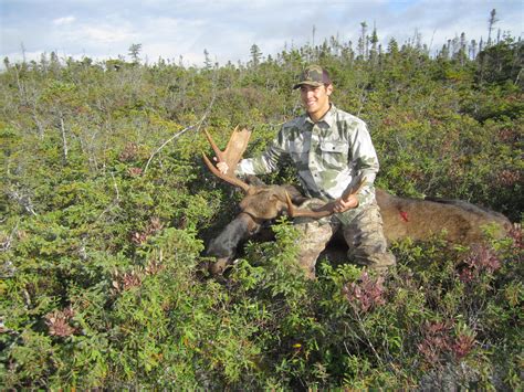 Highlights of the 2016 hunt | Spruce Pond Outfitters