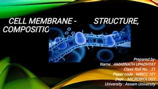 Cell Membrane Structure and Functions | PPT