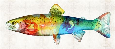 Rainbow Trout Drawings