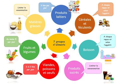 PEDAGOGIE ALIMENTAIRE LES FAMILLES D ALIMENTS L OBESITE