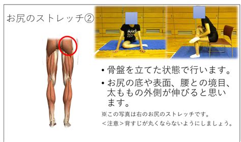 国民病「腰痛」の原因と体操（ｽﾄﾚｯﾁ＆ﾄﾚｰﾆﾝｸﾞ）での治し方 2実践編① Leap Physio Lab