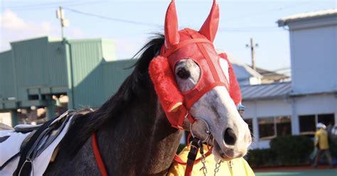 2024 3 29（金）競馬予想結果｜jra・競馬予想