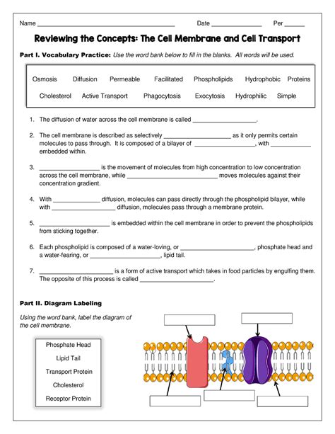 Cell Membrane Worksheet Name Date