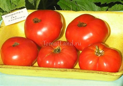 Томат Конфетка без косточек: описание сорта, ОТЗЫВЫ, фото