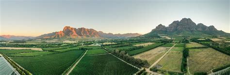 Boschendal Wine Estate Nuvo