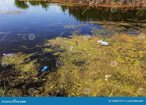 Plants In Oil Pollution Stock Image | CartoonDealer.com #52220113