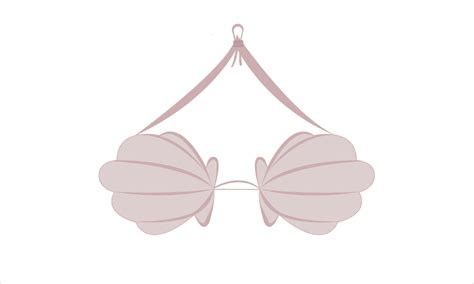Seashell Bra Bikini Top Elegant Bra 43344613 Vector Art At Vecteezy