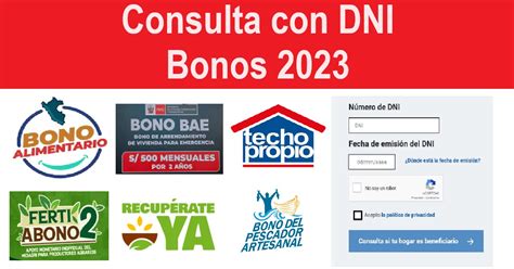 Consulta Con Tu Dni Los Bonos Per Calle Peruana