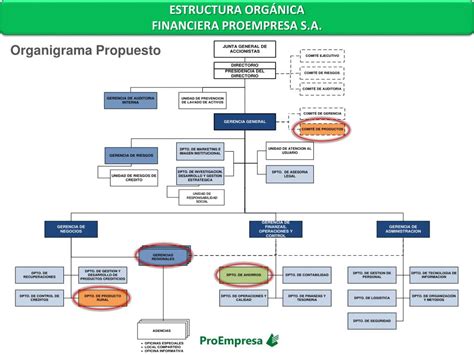 Ppt Estructura Org Nica Financiera Proempresa S A Powerpoint