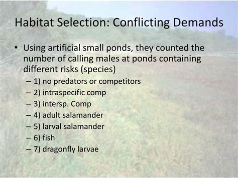 Ppt Habitat Selection Powerpoint Presentation Free Download Id6803606