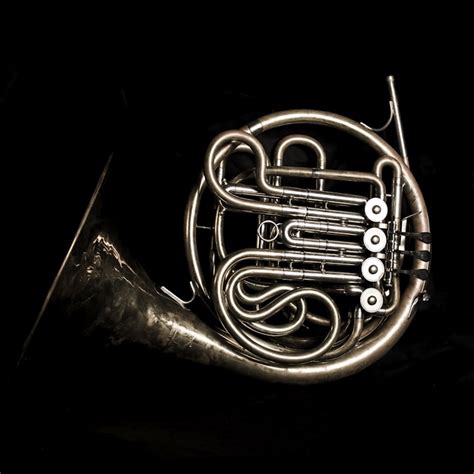 The French Horn | Beat